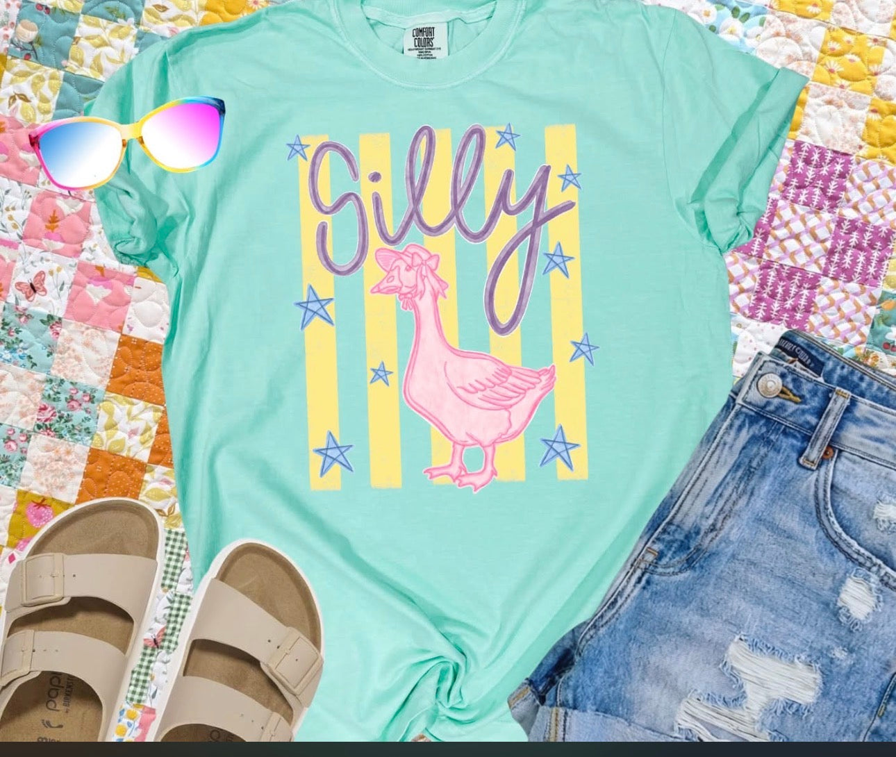 Silly Pink Goose