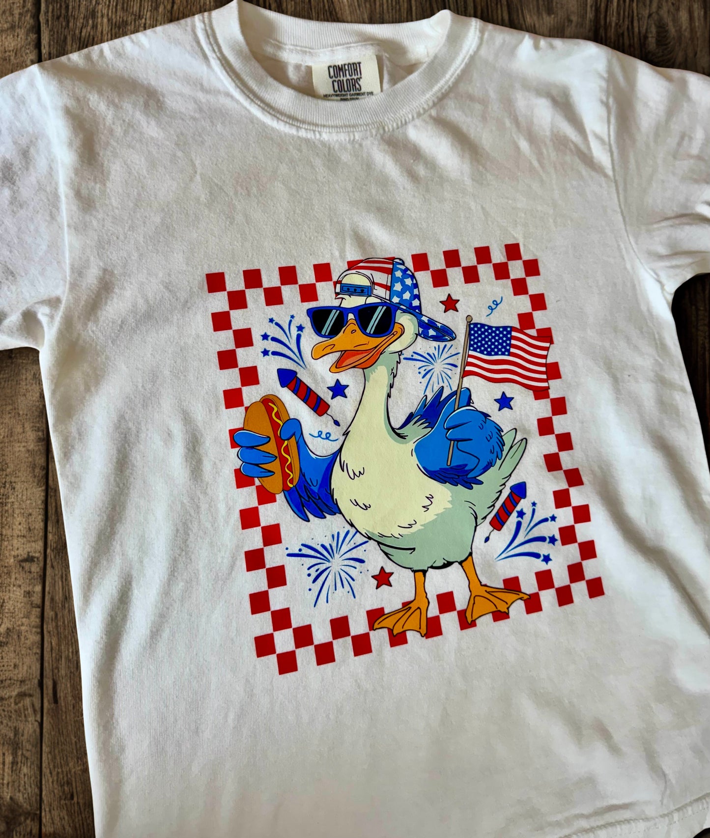 Patriotic Little Boy Goose